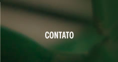 Contato